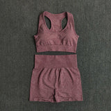 Seamless Performance Yoga & Gym Set