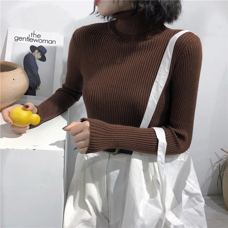 Women’s Ribbed Turtleneck Sweater