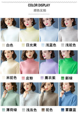 Women's Collared Knit Pullover Sweater