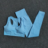 Seamless Performance Yoga & Gym Set
