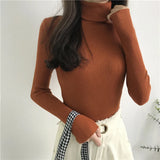 Women’s Ribbed Turtleneck Sweater