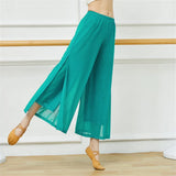 Women's Wide-Leg Nylon Dance Pants
