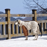 Italian Greyhound Fleece Vest – Windproof & Waterproof
