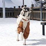 Italian Greyhound Fleece Vest – Windproof & Waterproof