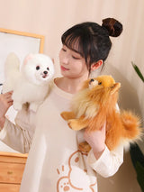 New Premium Cute Plush Pomeranian Dog Real Life Toystuffed Animals Soft Puppy Pet Doll Children Kids Girls Lovely Gift