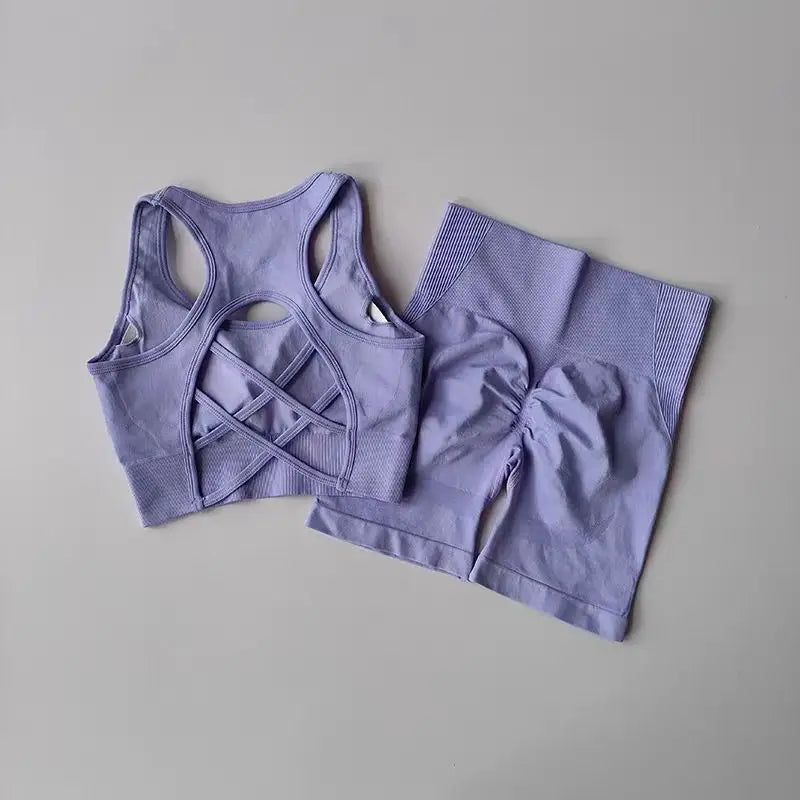 2-Piece Women's Seamless Workout Set: High-Waist Shorts & Performance Sports Bra