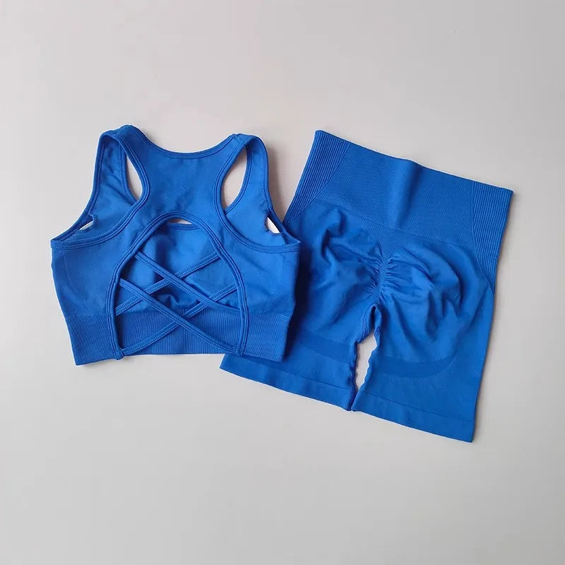 2-Piece Women's Seamless Workout Set: High-Waist Shorts & Performance Sports Bra