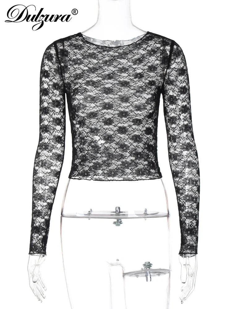 Mesh Lace Long Sleeve Crop Top