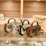 Contrast Color Luxury Box Bag