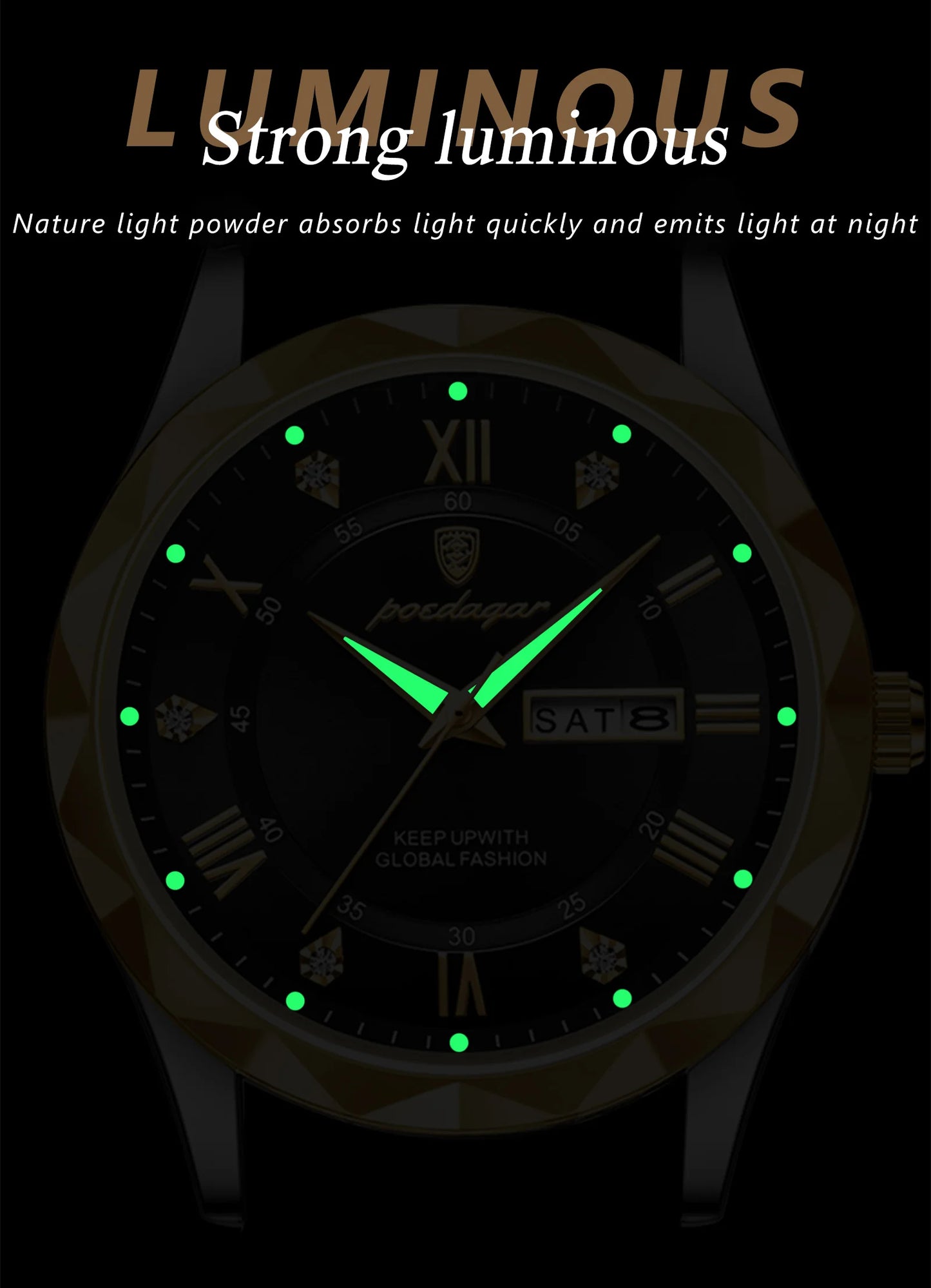 POEDAGAR 615 Men's Luxury Quartz Watch