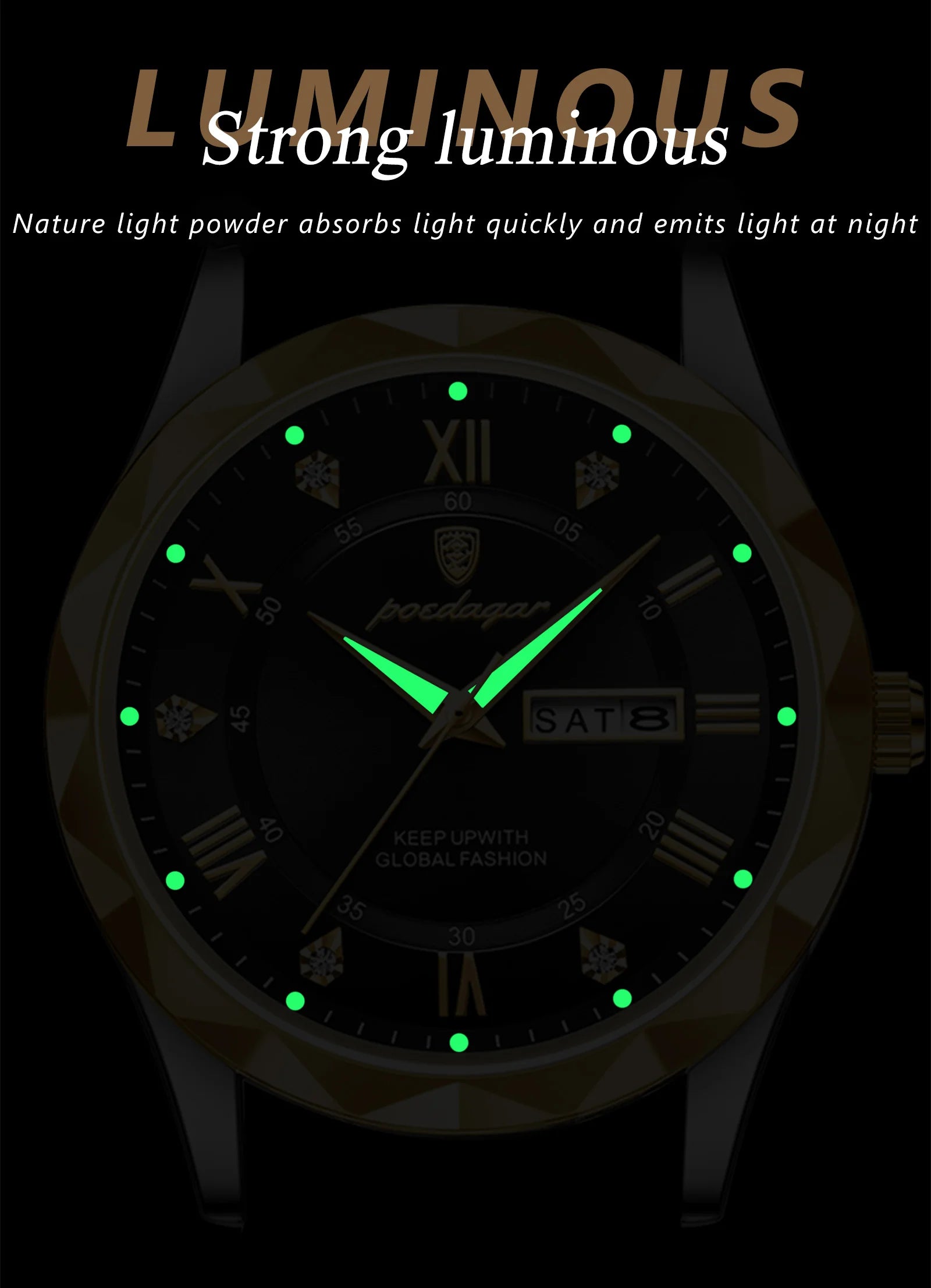 POEDAGAR 615 Men's Luxury Quartz Watch