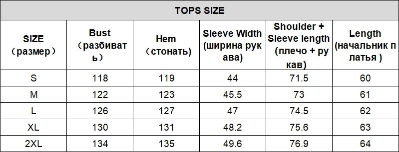 CHIC VEN Women Sweatsuit Loose Casual New Granular Velvet Stand Collar Female Top Pants Set for Woman Sport Autumn Winter 2025
