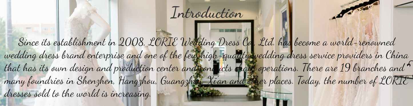 Boho Lace Elegant Wedding Dresses Low-Cut V-Neck Applique Bride Gowns Princess Spaghetti Strap Bridal Gown PartyCustomized