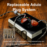 DUNU x Gizaudio DaVinci 2DD+4BA Hybrid IEM