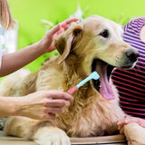 3-Sided Pet Toothbrush | Gentle Dental Care for Dogs & Cats