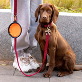 Portable Collapsible Pet Bowl | Travel Food & Water Dish