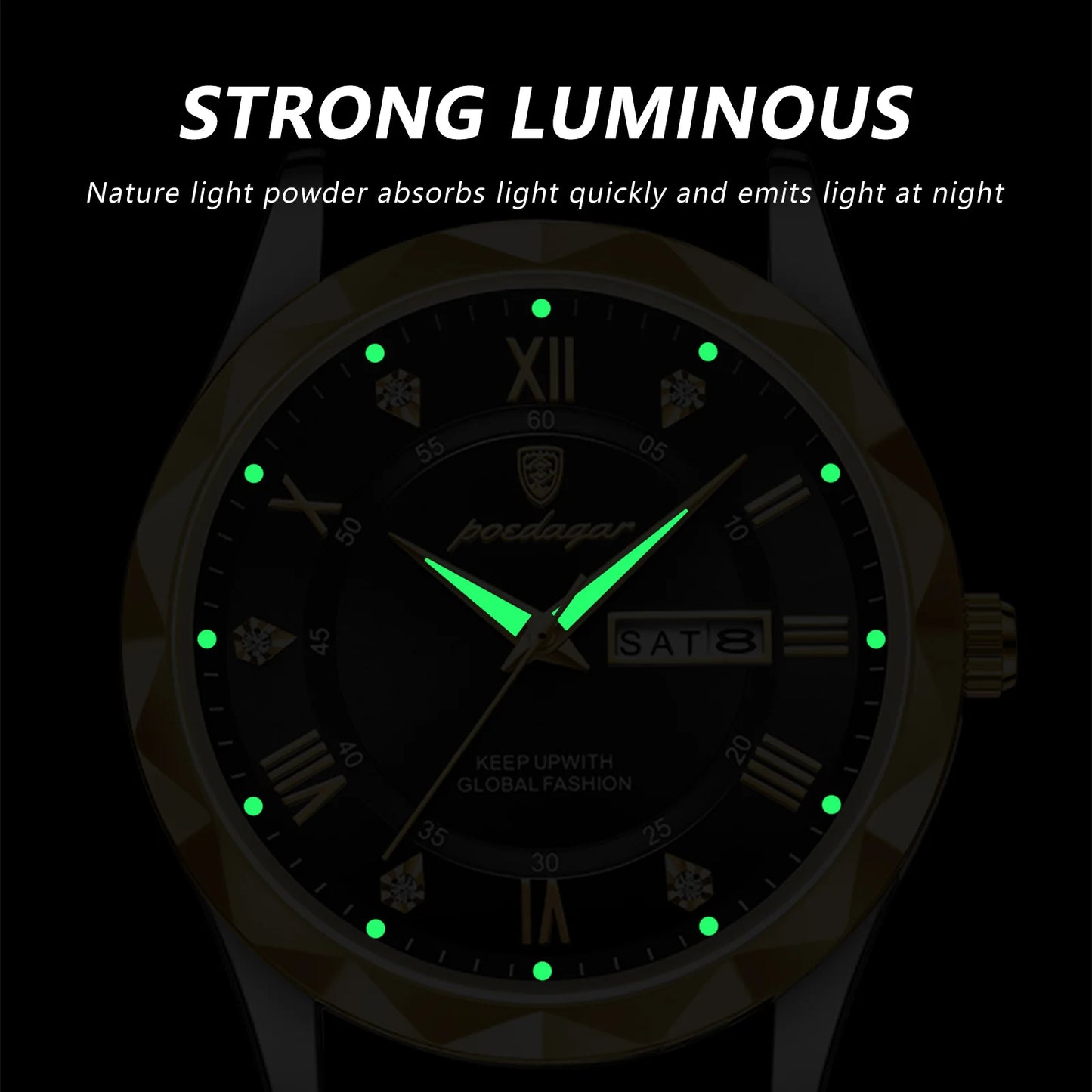 POEDAGAR 615 Men's Luxury Quartz Watch