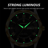 POEDAGAR 615 Men's Luxury Quartz Watch
