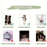 Customized super funny pet pillows and cushions with pictures, popular modern pet pillows and cushions to commemorate your pet