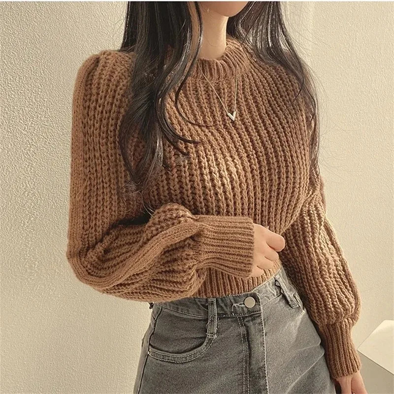 Women's Loose-Fit Crew Neck Knit Sweater