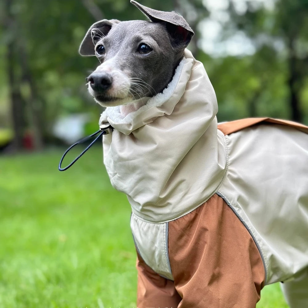 Italian Greyhound Fleece Vest – Windproof & Waterproof