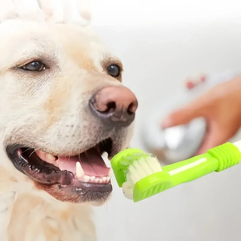 3-Sided Pet Toothbrush | Gentle Dental Care for Dogs & Cats