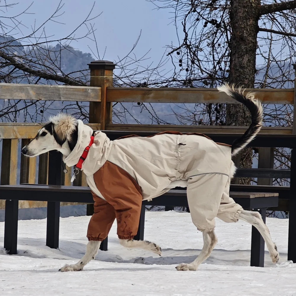 Italian Greyhound Fleece Vest – Windproof & Waterproof