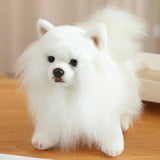 Premium Simulation Pomeranian Dog Plush Toy Cute Stuffed Animals High Quality Puppy Plushies Doll Cartoon Soft Kids Toys Gifts