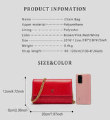 Minimalist Magnetic Flip Chain Bag