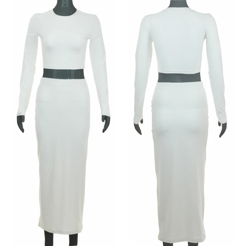 Elegant Two-Piece Long Sleeve Skirt Set