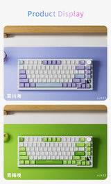 AJAZZ AK820 Wireless Gaming Keyboard, GASKET Structure, RGB Backlight, 5-Layer Sound Dampening Foam, PBT Keycaps
