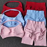 Women’s Seamless Yoga & Workout Set