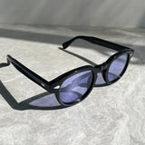 Blake Lemtosh Acetate Sunglasses – Unisex Vintage Style