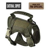 Cat Tactical Harness Vest with Leash & 2 Stickers