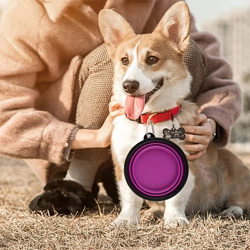 Portable Collapsible Pet Bowl | Travel Food & Water Dish