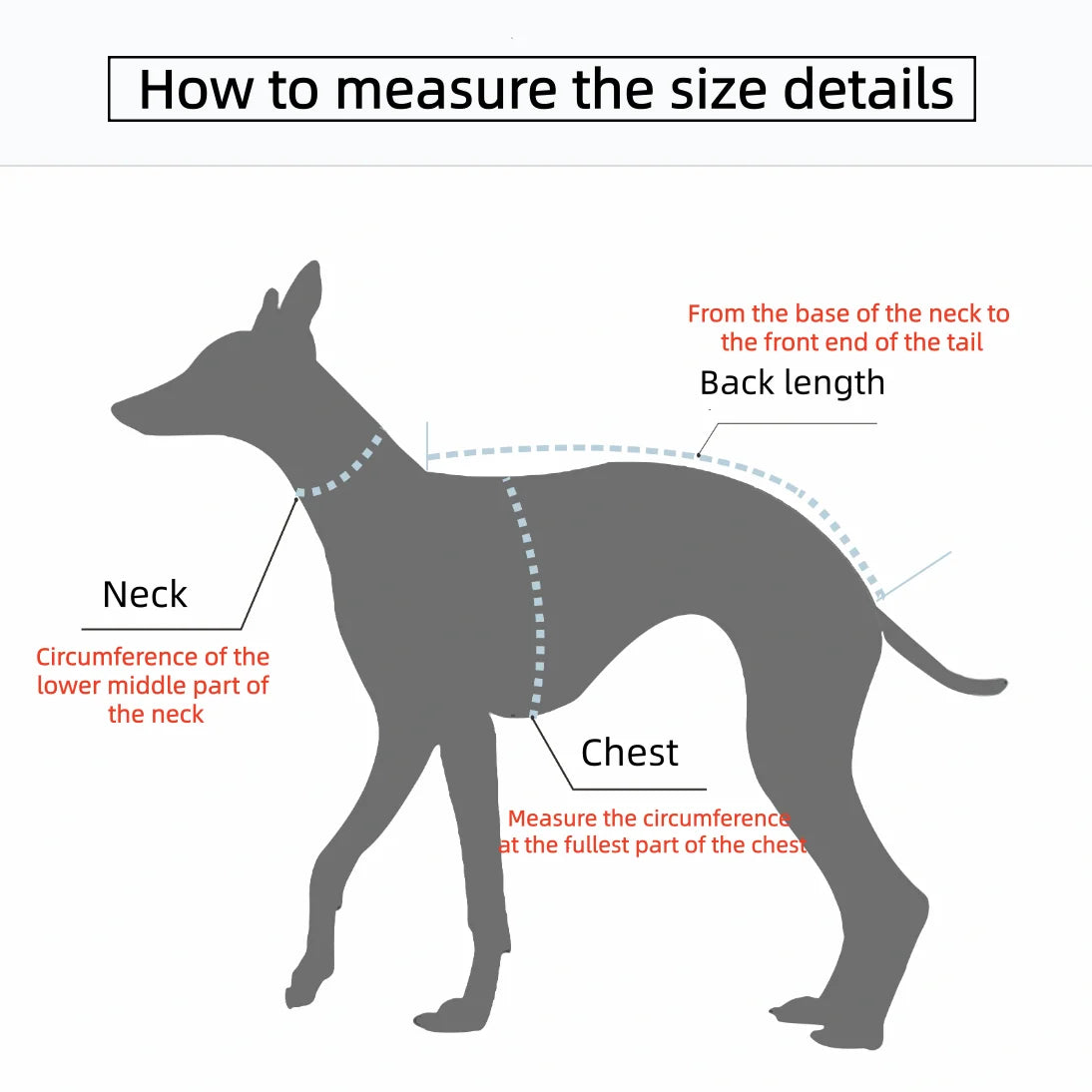 Italian Greyhound Fleece Vest – Windproof & Waterproof