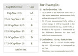 Sujiin Seamless Plunge Push-Up Bra for Women | XM048