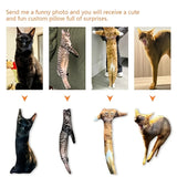 Customized super funny pet pillows and cushions with pictures, popular modern pet pillows and cushions to commemorate your pet