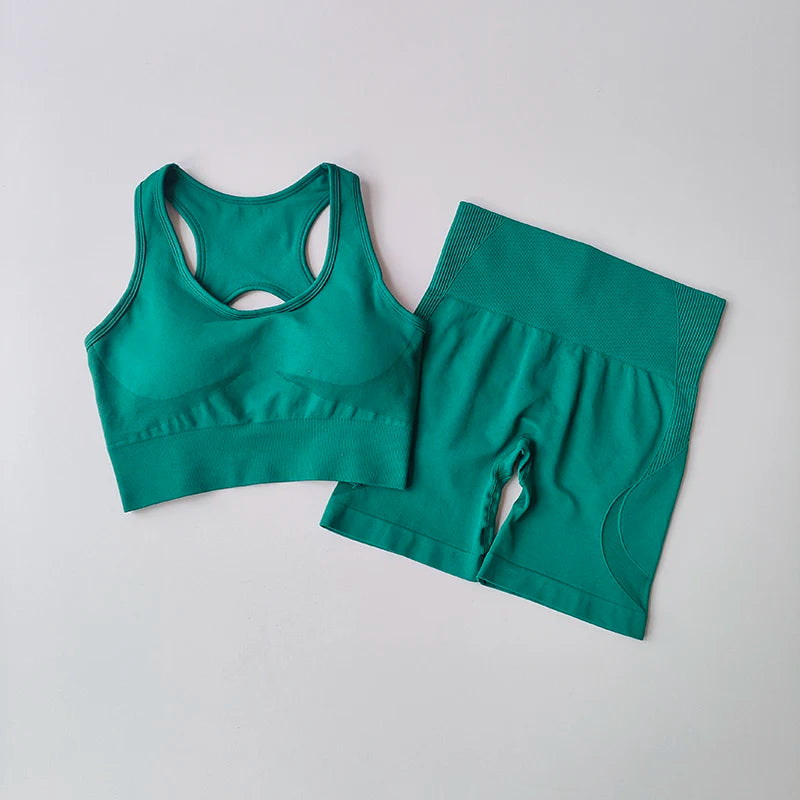 2-Piece Women's Seamless Workout Set: High-Waist Shorts & Performance Sports Bra