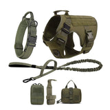 Tactical Dog Harness Set – Collar, Leash & MOLLE Pouches