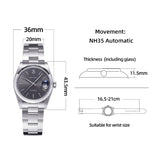 Baltany 36mm Perpetual Date Watch S4095 Sunray Dial 100M Waterproof Stainless Steel Bracelet NH35 Luxury Automatic Watch for Men