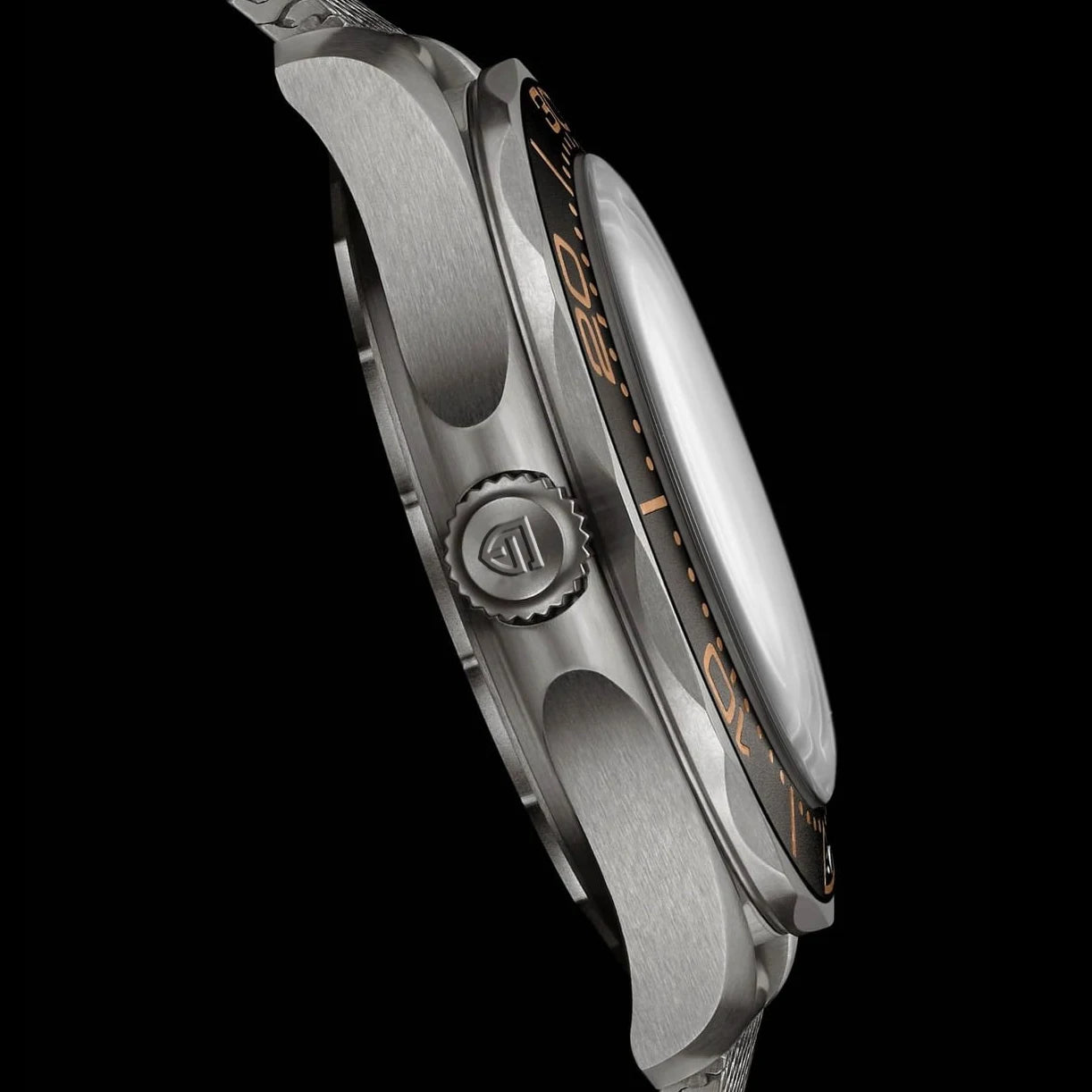 PAGANI DESIGN Men's Watches Luxury Automatic Watch For Men 2025 New 100M Waterproof Mechanical Wrist watch Men Sapphire crystal