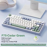 AULA F75 Gaming Mechanical Keyboard RGB Customized 75% Layout Side-engraving Gasket Mounted 80keys PBT Gradient Keycaps keyboard