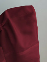 Women's Casual Side Strap Slim Fit Long Sleeve Shirt Sexy V-Neck Pleating Top Spring/Fall 2026
