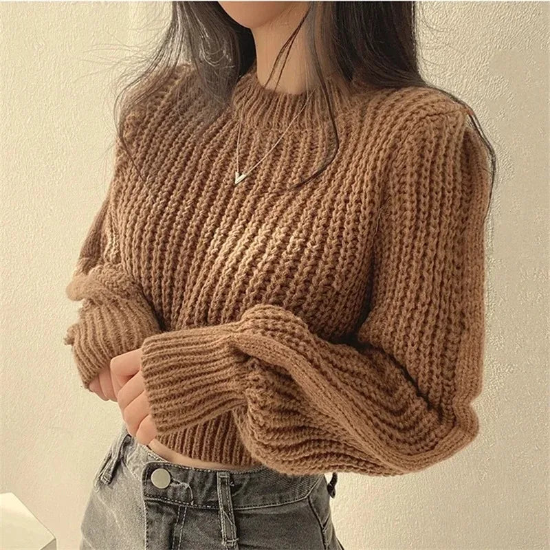 Women's Loose-Fit Crew Neck Knit Sweater