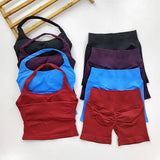 Seamless Halter Yoga & Fitness Set