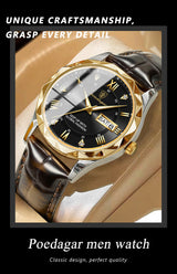 POEDAGAR 615 Men's Luxury Quartz Watch