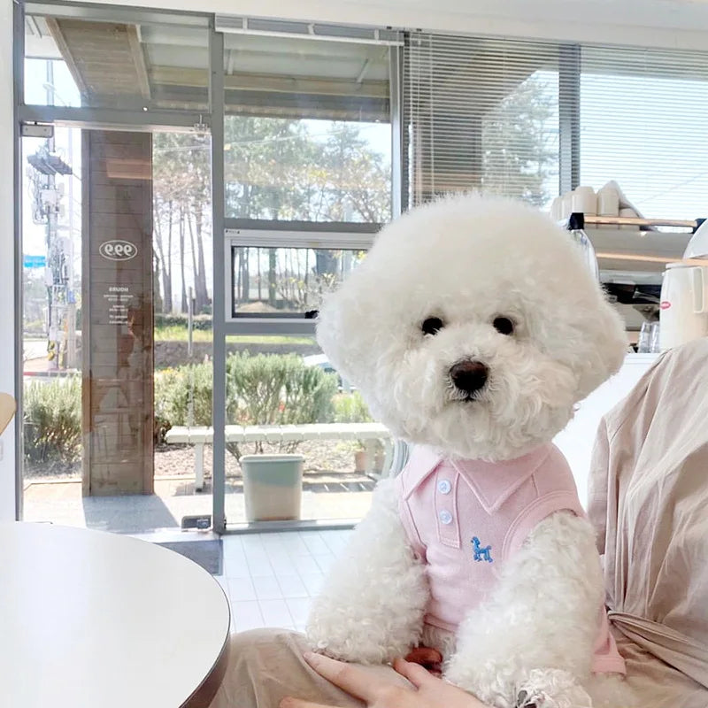 Breathable Cotton Polo Shirt for Dogs | Yorkie & Chihuahua