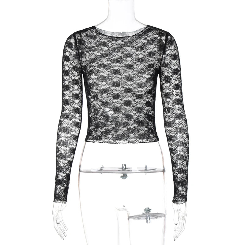 Mesh Lace Long Sleeve Crop Top