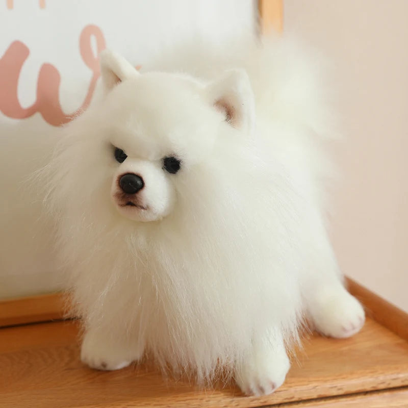 Premium Simulation Pomeranian Dog Plush Toy Cute Stuffed Animals High Quality Puppy Plushies Doll Cartoon Soft Kids Toys Gifts